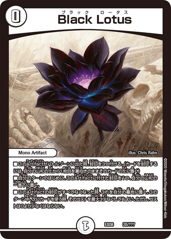 black lotus