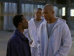 Lou Robbins Reggie Stamp Tyree Cameron