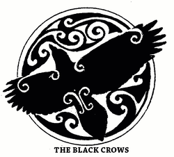 THE BLACK CROWS