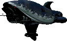 Sharkdrone1