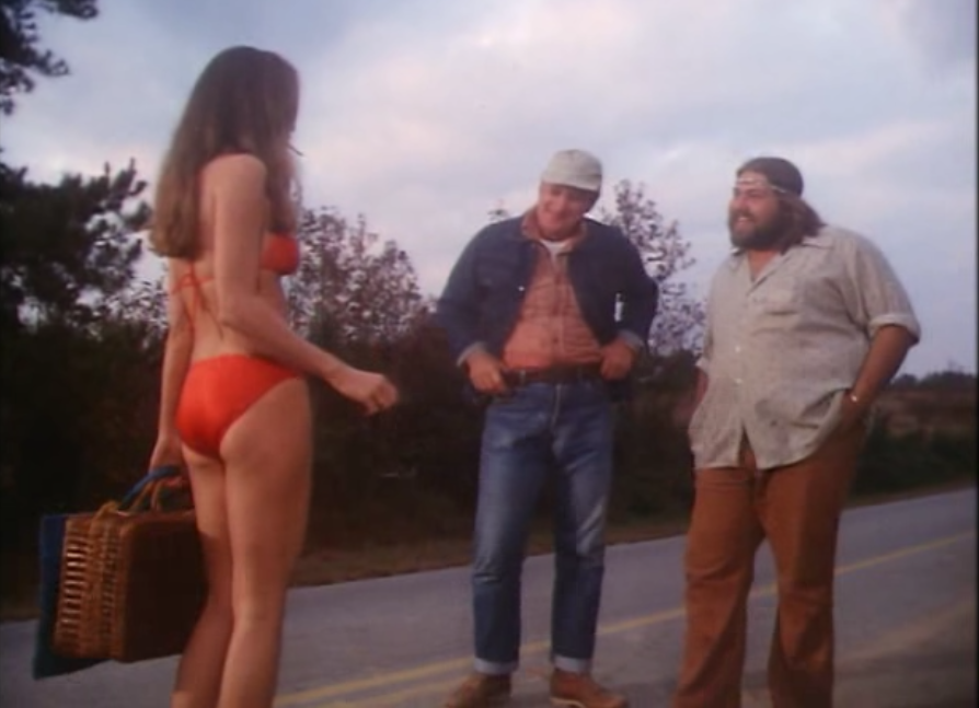 Daisy Duke Catherine Bach The Dukes Of Hazzard Wiki Fandom