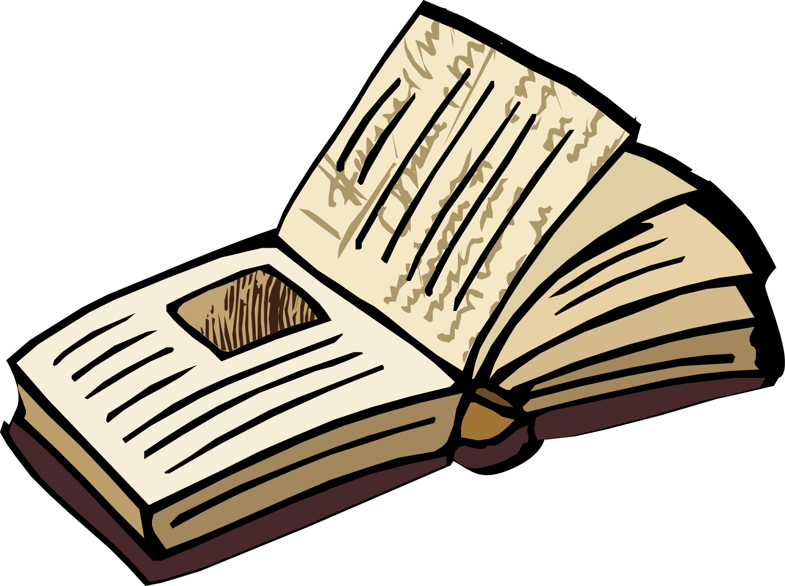 hisory book