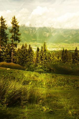 ElisabethFletcherBackground