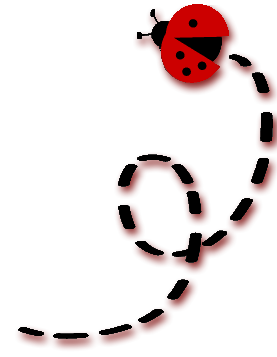 TonyTransparent