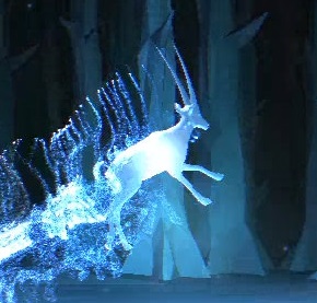 Oxy — Oryx Patronus
