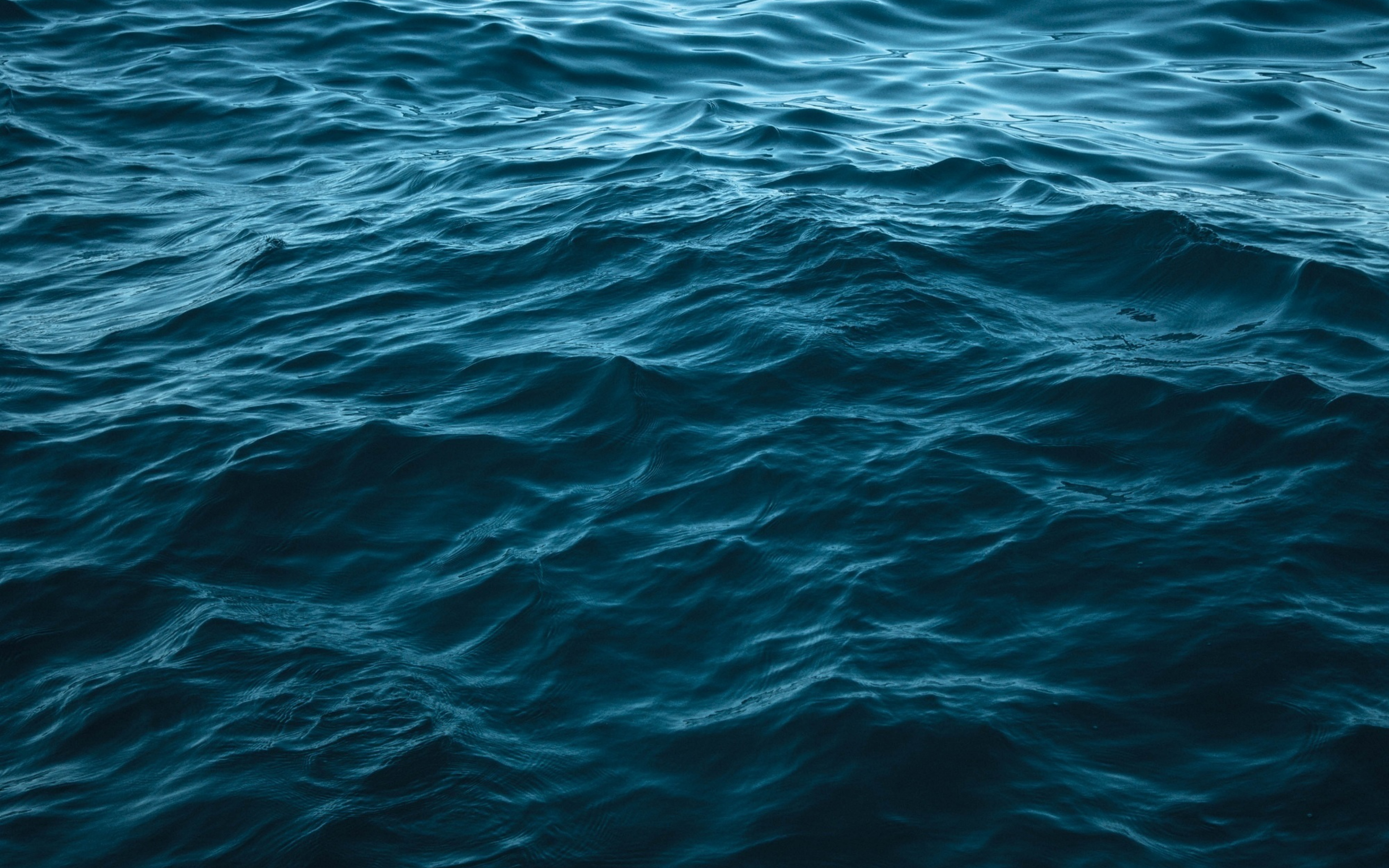 AdriennePageBackground