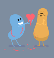 OrangePeanutMrKidney