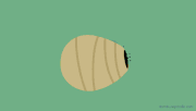 Tumblr md38vseBwE1rk9vano1 r1 500