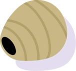 NestofWasp