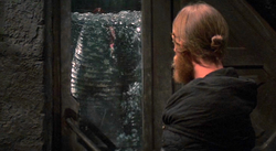Sandworm sink 1984