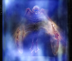 Guild Navigator 2000