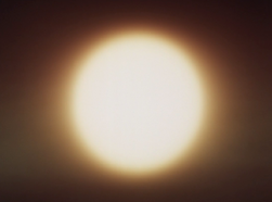 Canopus 1984