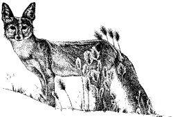 Figure50