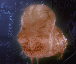 Guild Navigator 1984