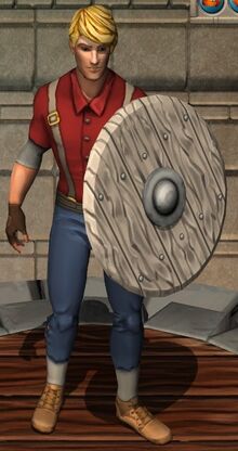 Aerial Wooden Shield