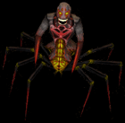 Mucosa Dark