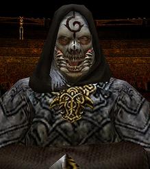Archmage Of Valdis