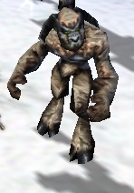 Braak Mage