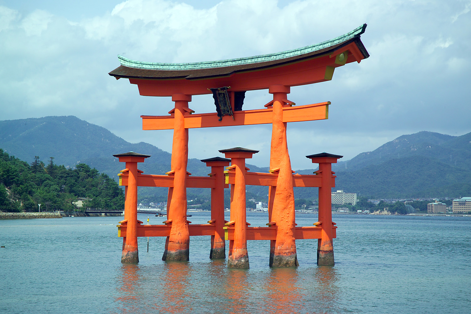Japanese Duolingo Wiki FANDOM Powered By Wikia