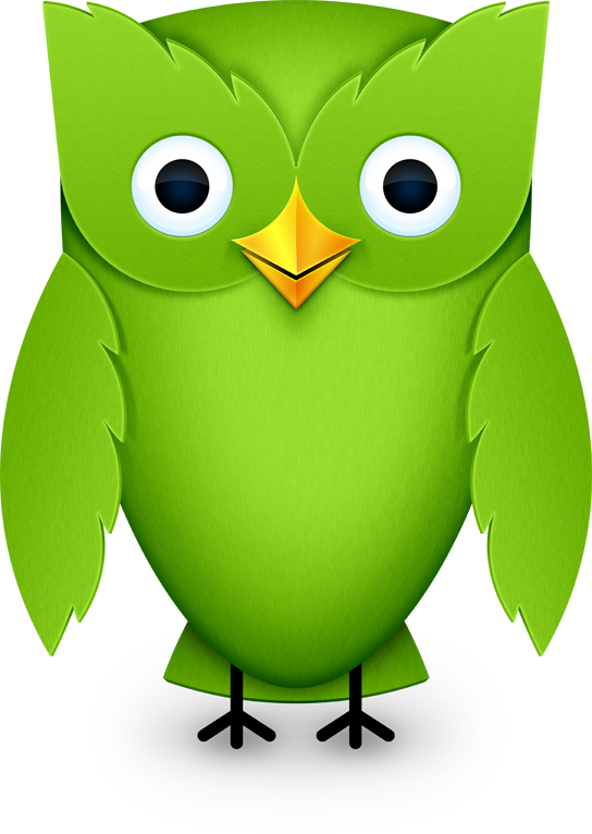 duolingo owl