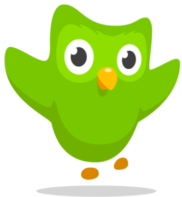 Image result for duolingo owl