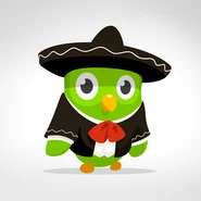 Duo | Duolingo Wiki | Fandom