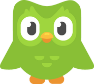 Duolingo Duolingo
