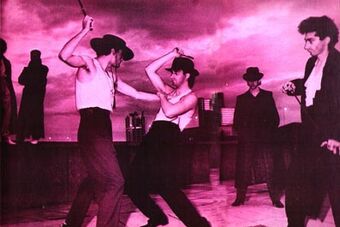 Animal Magnet Duran Duran Wiki Fandom