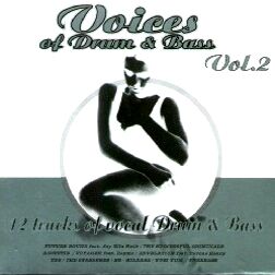 Voices of Drum & Bass: Vol. 2 | Duran Duran Wiki | Fandom