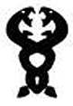 Amphisbaena symbol-0