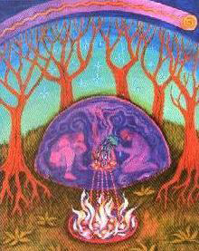 Inside-a-sweat-lodge