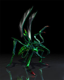 Hopper Bug