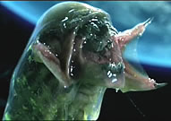 Alien-children-hybrid