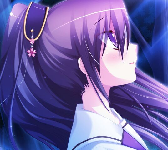 Image - Anime-girl,-purple-hair-207101.jpg | High School DxD Wiki ...