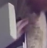Hand