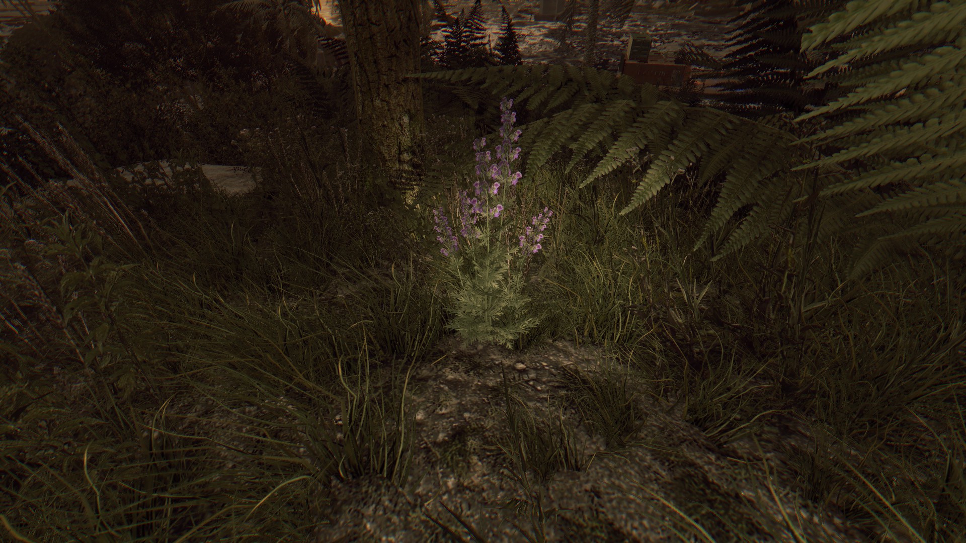 Incense Herbs Dying Light Wiki FANDOM Powered By Wikia incense-herbs-dying-light-wiki-fandom-powered-by-wikia