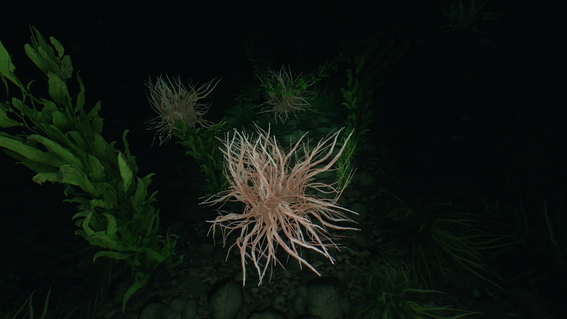 Dulse (quest) Dying Light Wiki Fandom