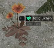 ToxicLichen