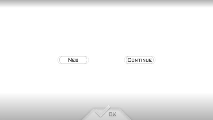 New or Continue