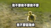 Go Escape(OBB)