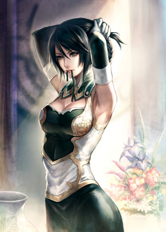 Xingcai Koei Wiki Fandom
