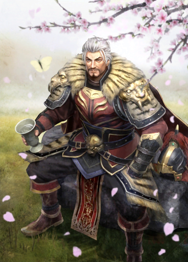 Sun Quan Dynasty Warriors 8