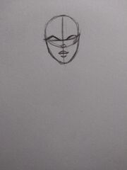 Anatomia4