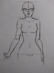 Anatomia7