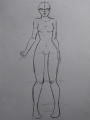 Anatomia8