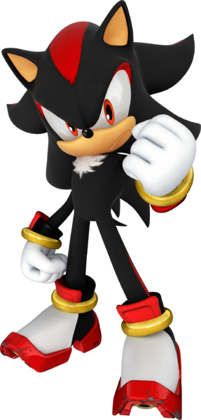 shadow the hedgehog in real life shadow the hedgehog in real life