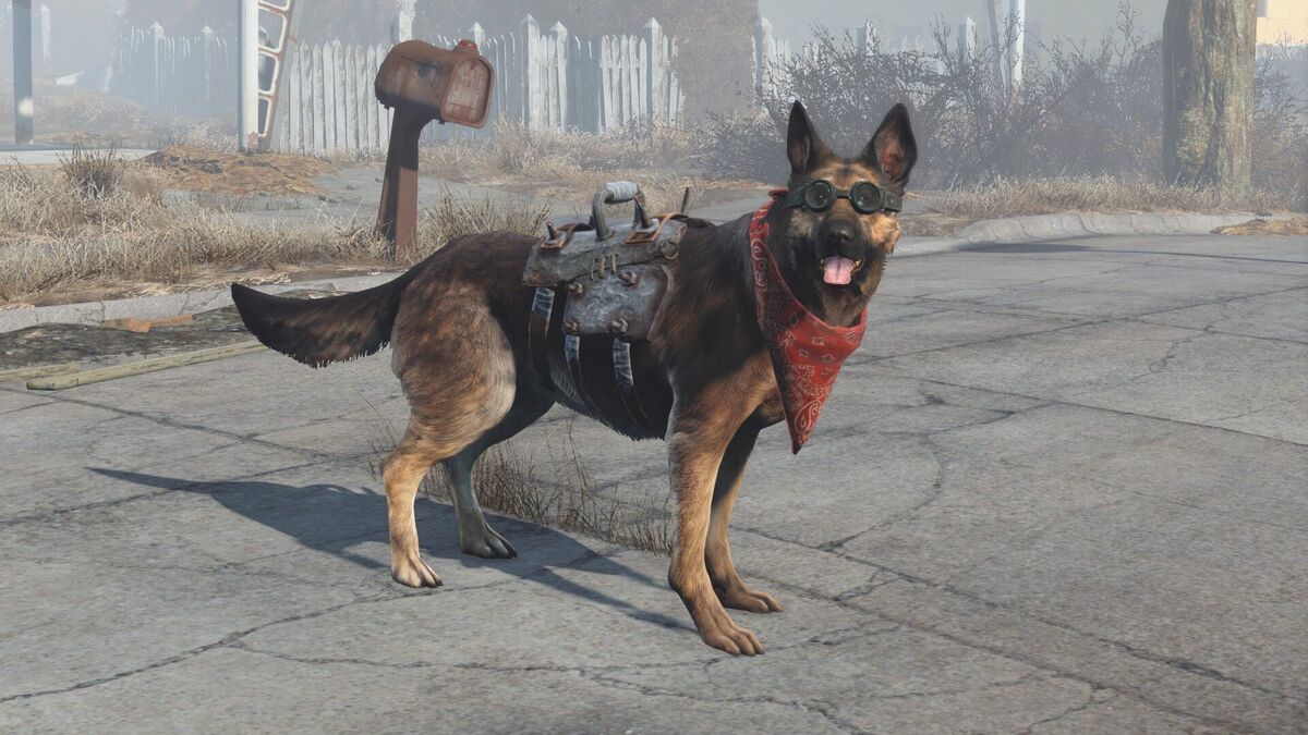 Best Dogs From Games