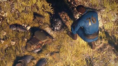 'Fallout 76': The Weirdest Things We've Encountered So Far