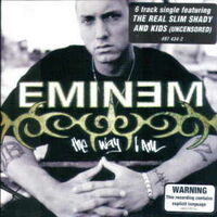 The Way I Am Eminem Wiki Fandom