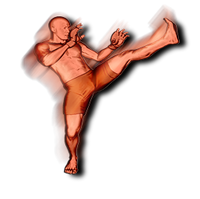 Crane Kick Ea Ufc Mobile Wikia Fandom